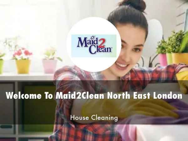 Detail Presentation About Maid2Clean North East London