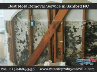 Mold Removal Service in Sanford NC - slide 1