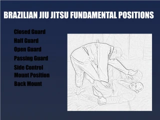 Brazilian Jiu Jitsu Fundamental Positions