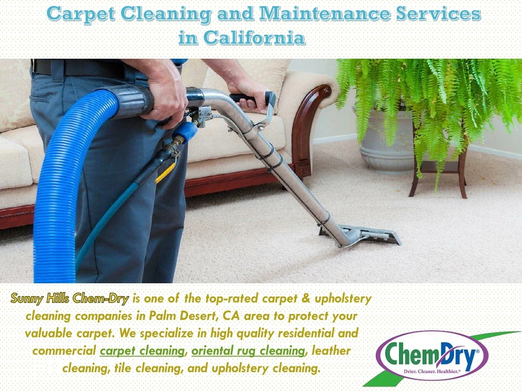 carpet cleaning and maintenance services