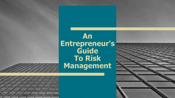 How entrepreneurs can handle risk management?