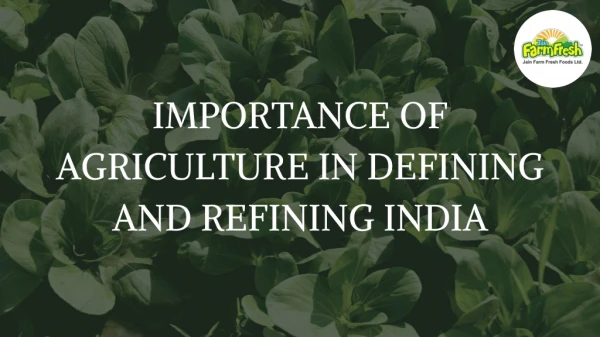 Importance Of Agriculture In India | Jain Farm Fresh Foods Ltd.