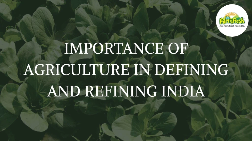 importance of agriculture in defining