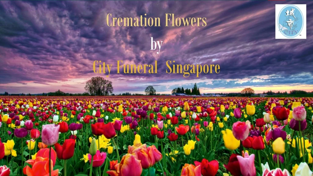 cremation flowers by city funeral singapore