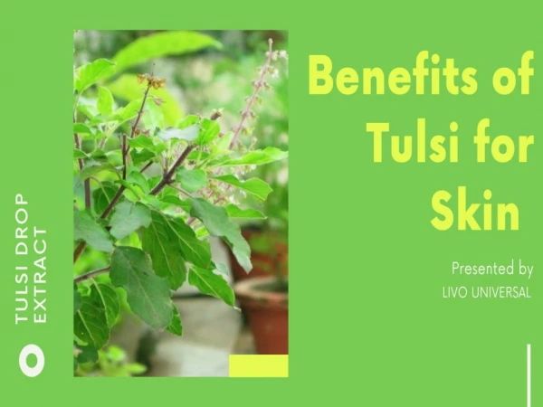 Tulsi Drops Benefits of Skin