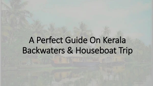 Perfect Guide On Kerala Backwaters & Houseboat Trip