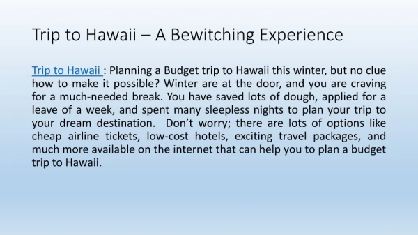 Trip to Hawaii – A Bewitching Experience