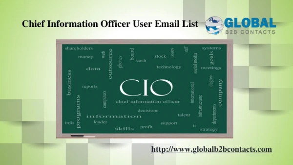 Chief Information Officer User Email List