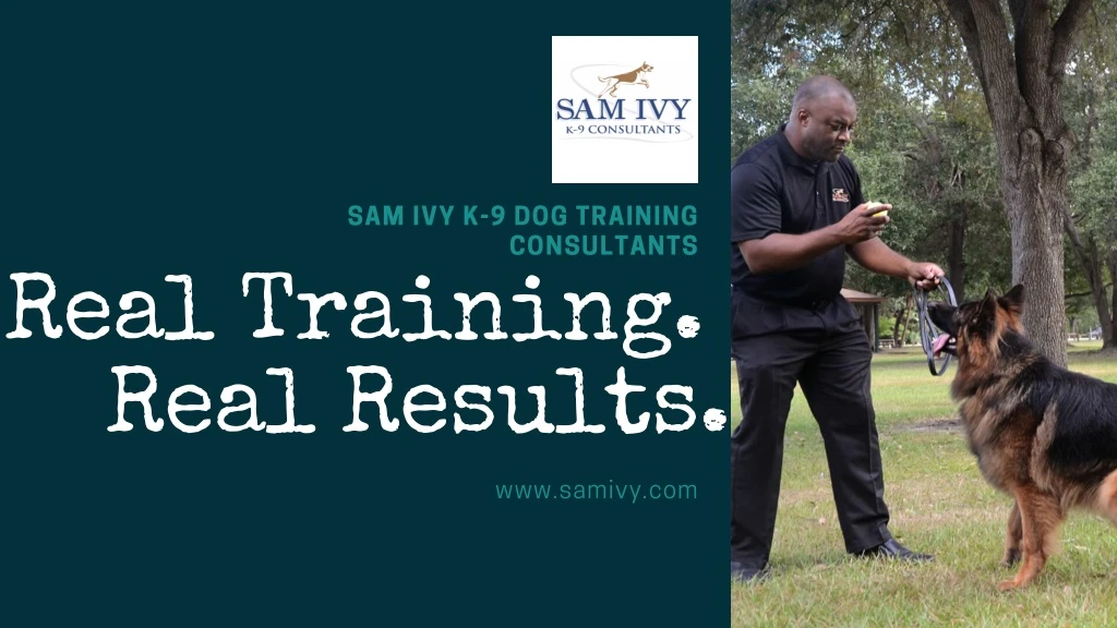 sam ivy k 9 dog training consultants