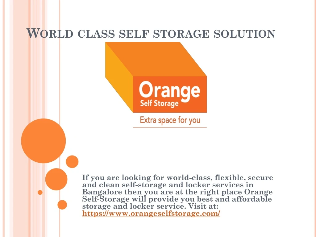 world class self storage solution