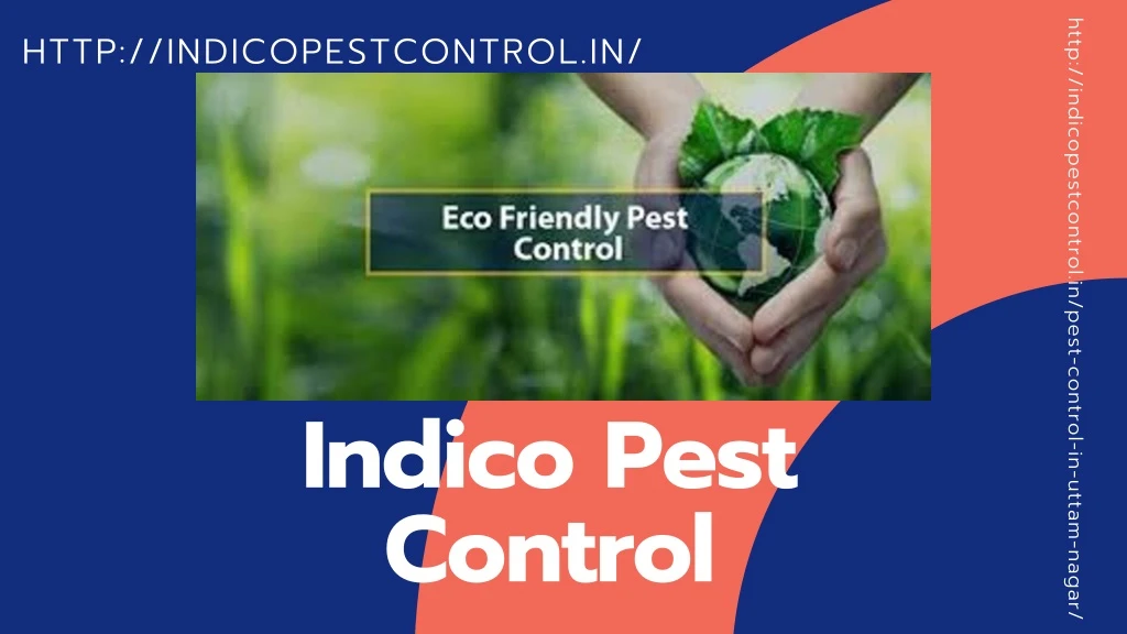 http indicopestcontrol in pest control in uttam