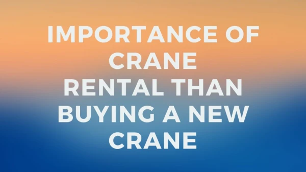 Importance of Crane Rental Than Buying a New Crane