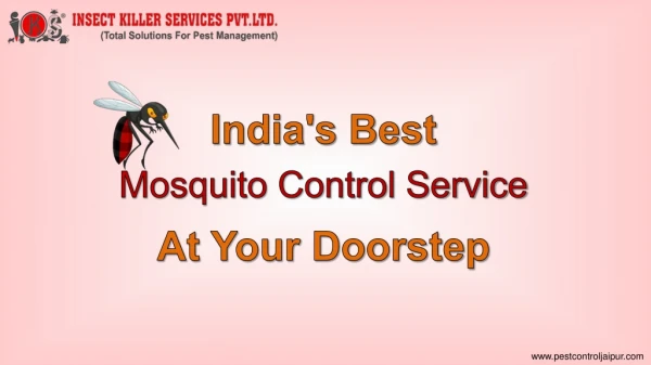 Mosquito Control Service Provider In Jaipur