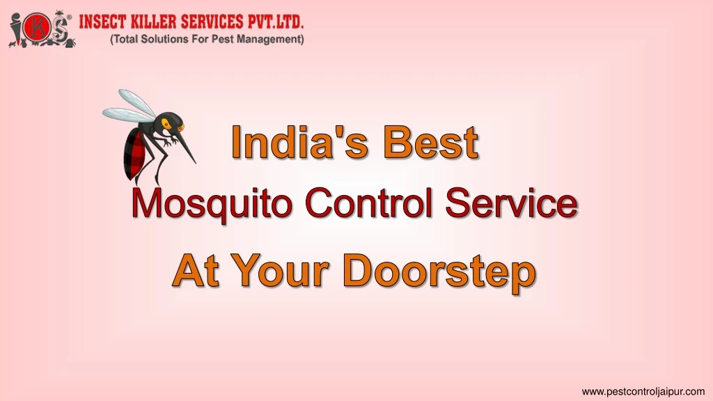 india s best mosquito control service at your