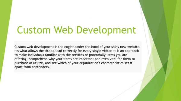 Custom Web Development Service | Website Design and Development Company | Mrmmbs Vision