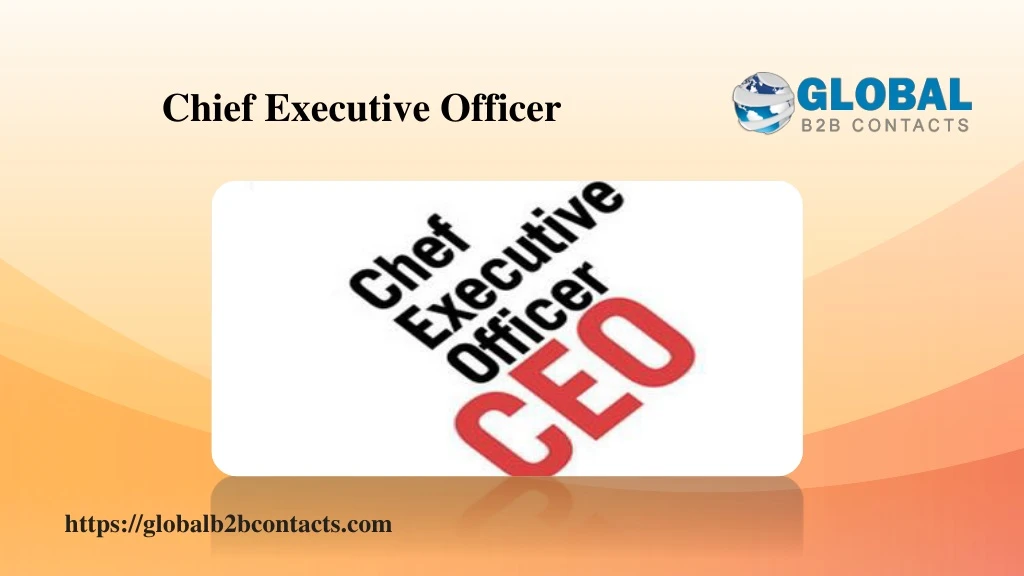 chief executive officer