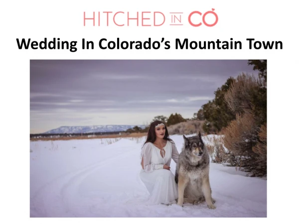 Wedding In Colorado’s Mountain Town