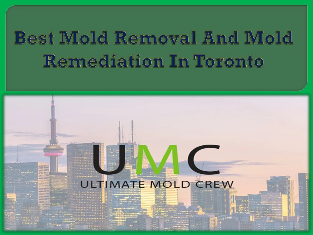 best mold removal and mold remediation in toronto