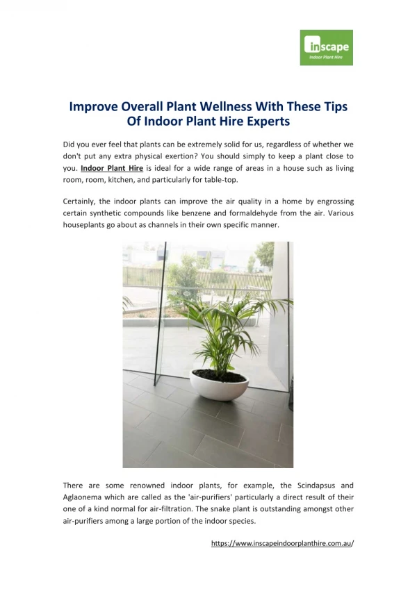 Improve Overall Plant Wellness With These Tips Of Indoor Plant Hire Experts