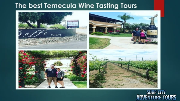 Best Temecula wine testing tours