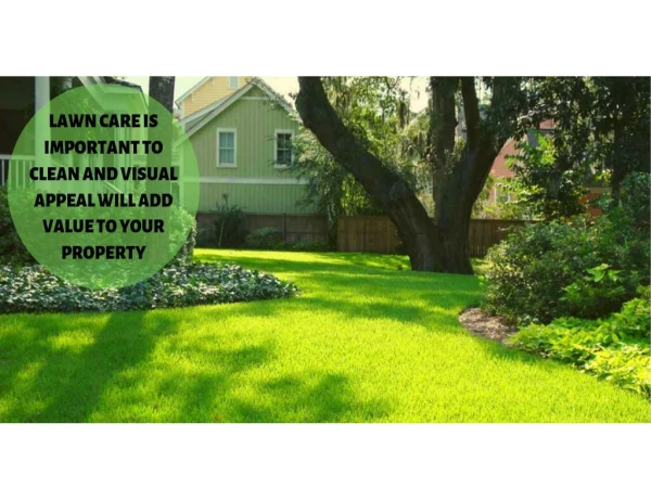 LAWN CARE IS IMPORTANT TO CLEAN AND VISUAL APPEAL WILL ADD VALUE TO YOUR PROPERTY