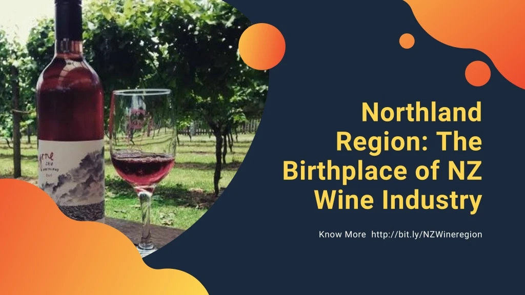 northland region the birthplace of nz wine