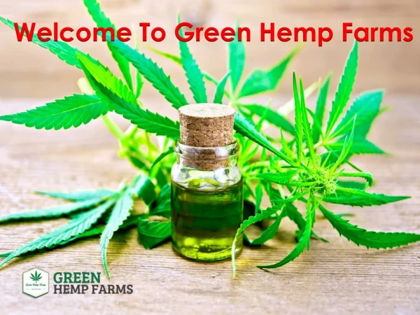 We provide Hemp CBD Oil to Our Clients