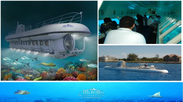 Experience the Thrill of Exploring the Sea on a Submarine Tour