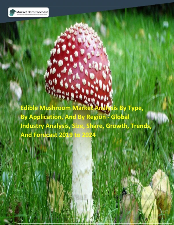 Edible Mushroom Market Size and Growth Rate