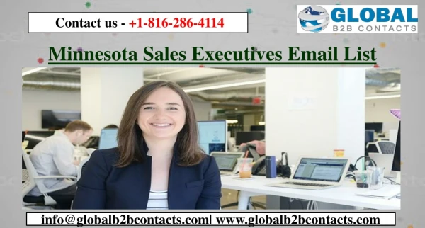 Minnesota Sales Executives Email List