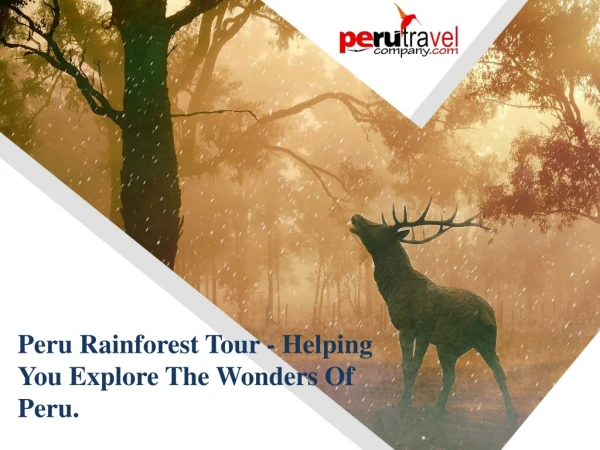 Peru Rainforest Tour - Helping You Explore The Wonders Of Peru