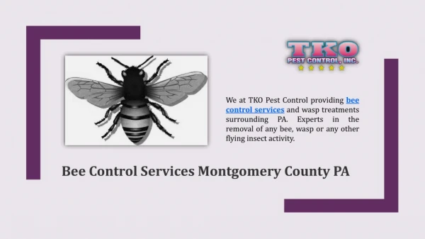 Bee Control Services Montgomery County PA