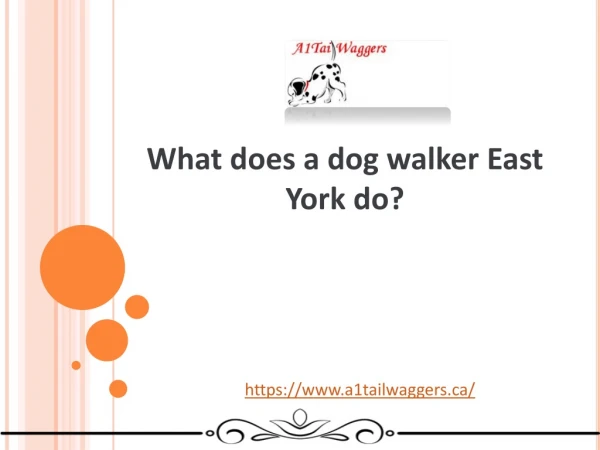 What does a dog walker East York do?