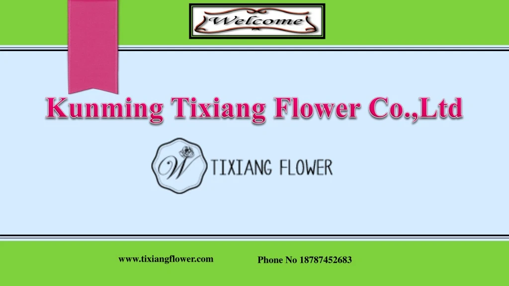 kunming tixiang flower co ltd