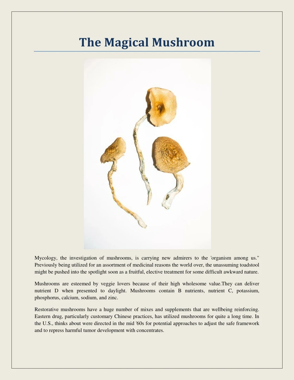 the magical mushroom