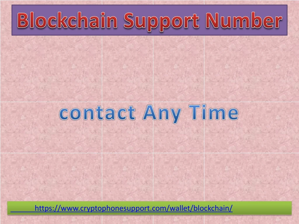 blockchain s upport number