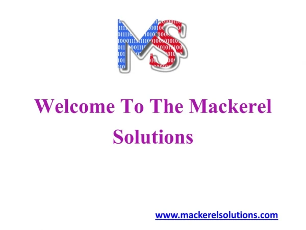 Best SEO Company And Digital Marketing Services | Mackerel Solutions