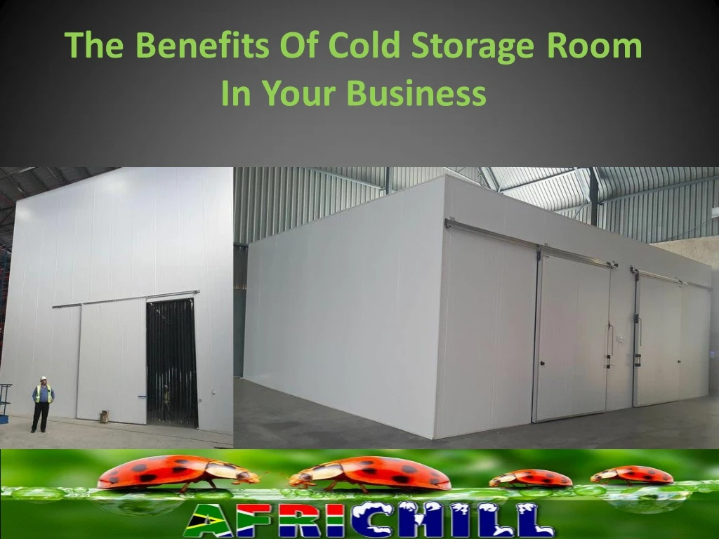 the benefits of cold storage room in your business