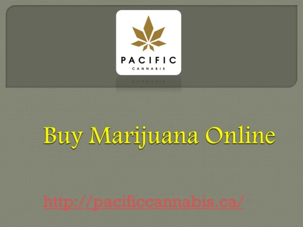 Buy Marijuana Online - pacificcannabi