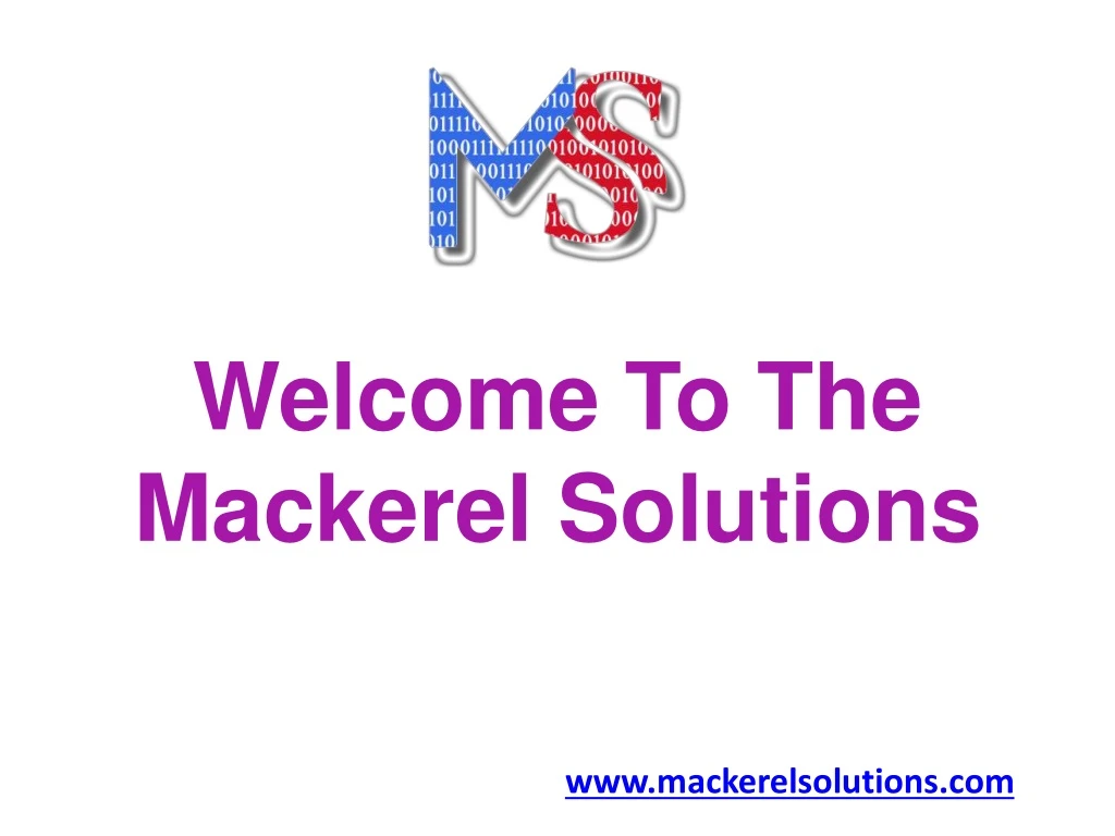 welcome to the mackerel solutions
