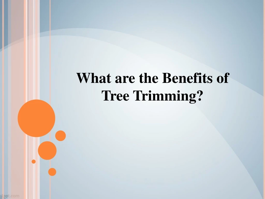 what are the benefits of tree trimming