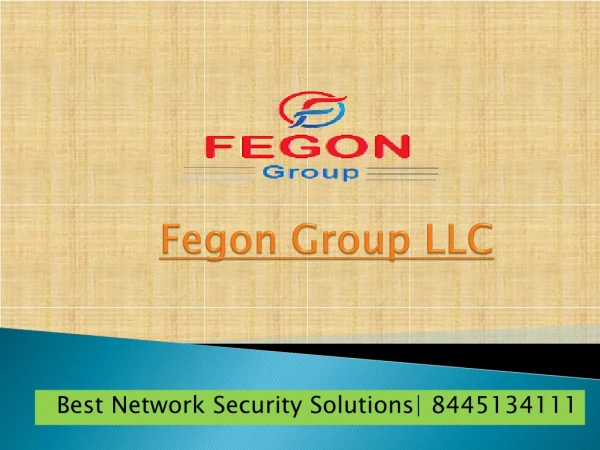 fegon group llc