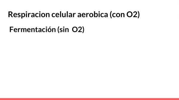 Respiracion celular