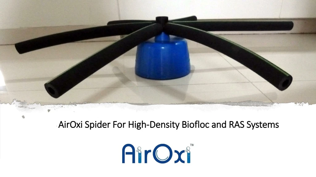 airoxi spider for high density biofloc