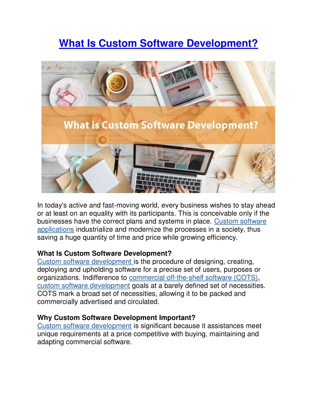 what is custom software development