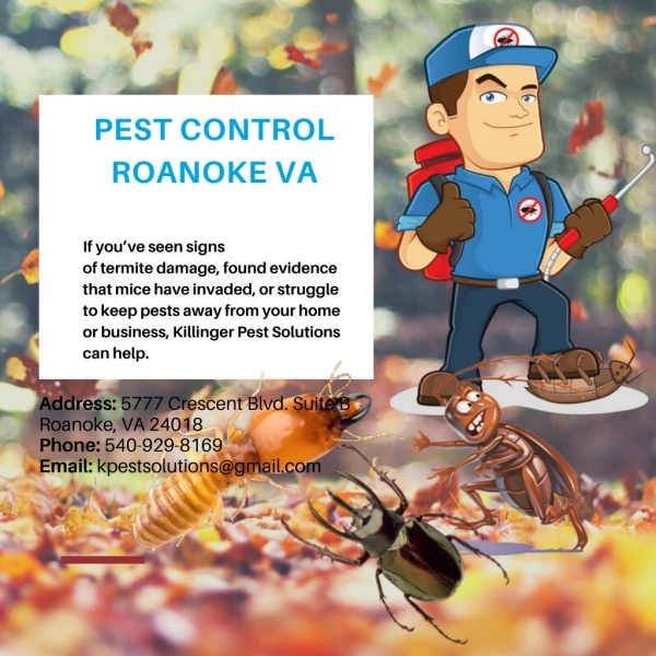 Pest Control Roanoke VA