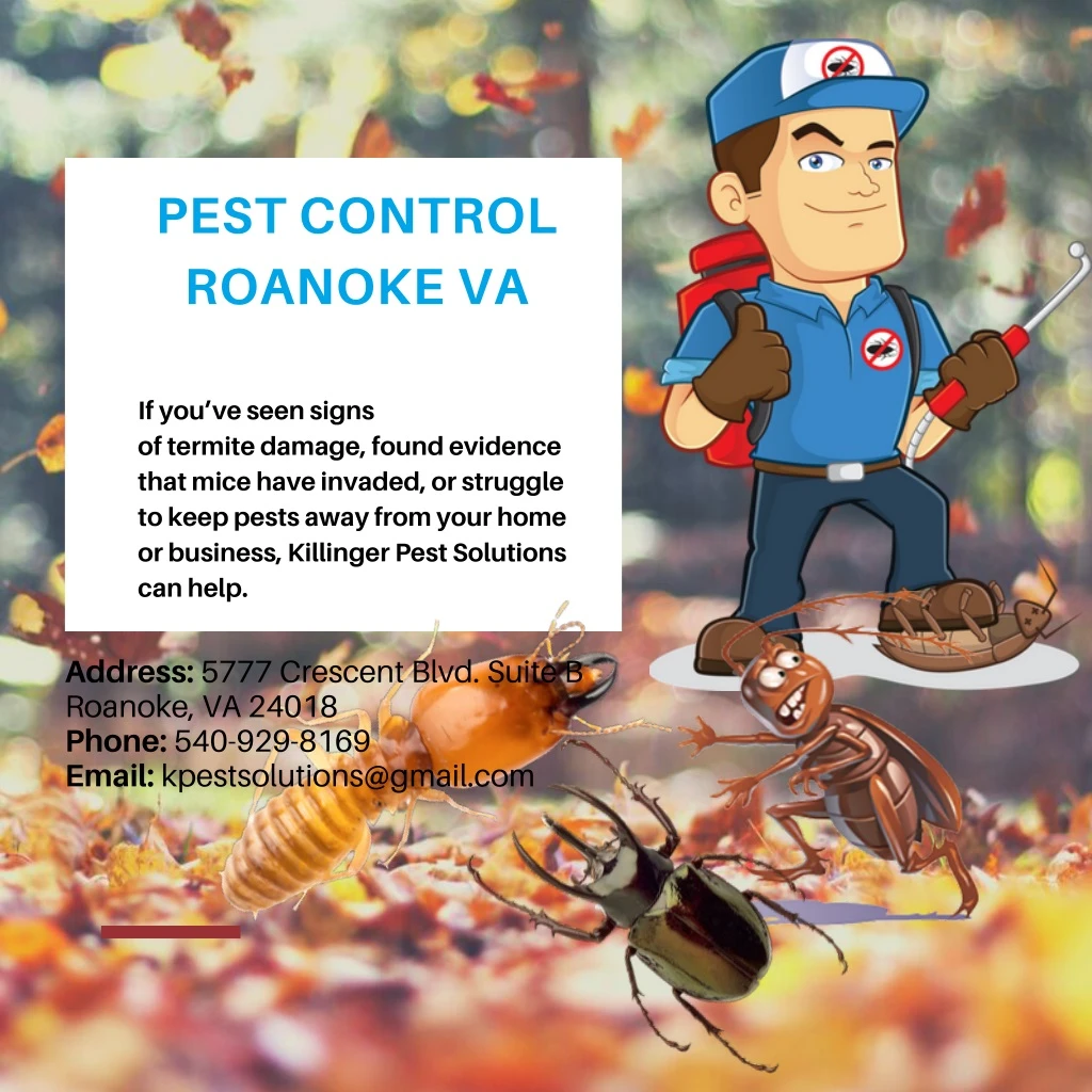 pest control roanoke va