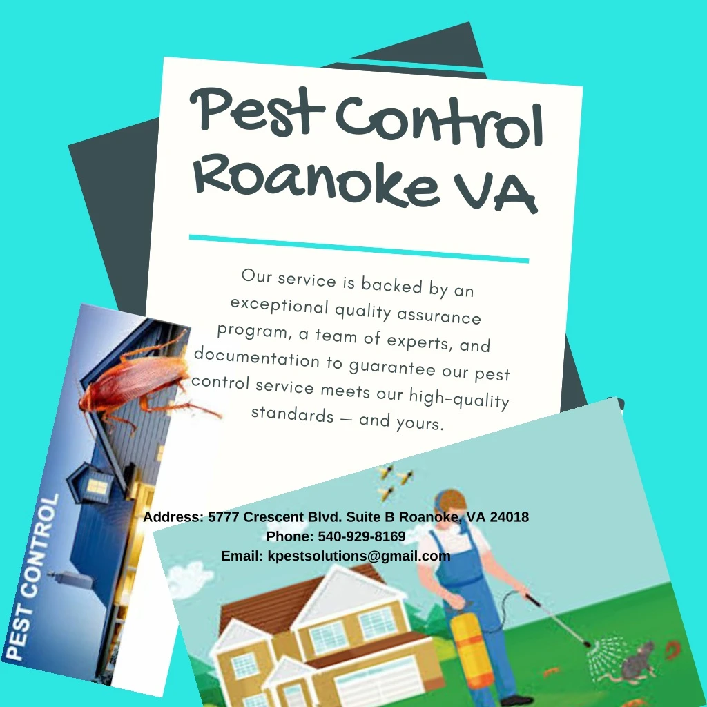 pest control roanoke va