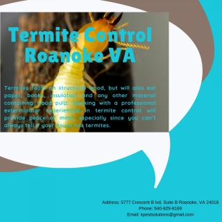 Termite Control Roanoke VA - slide 1