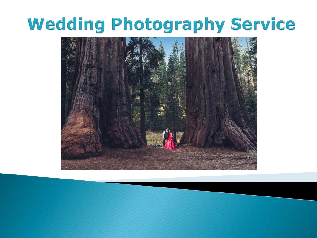 wedding photography service